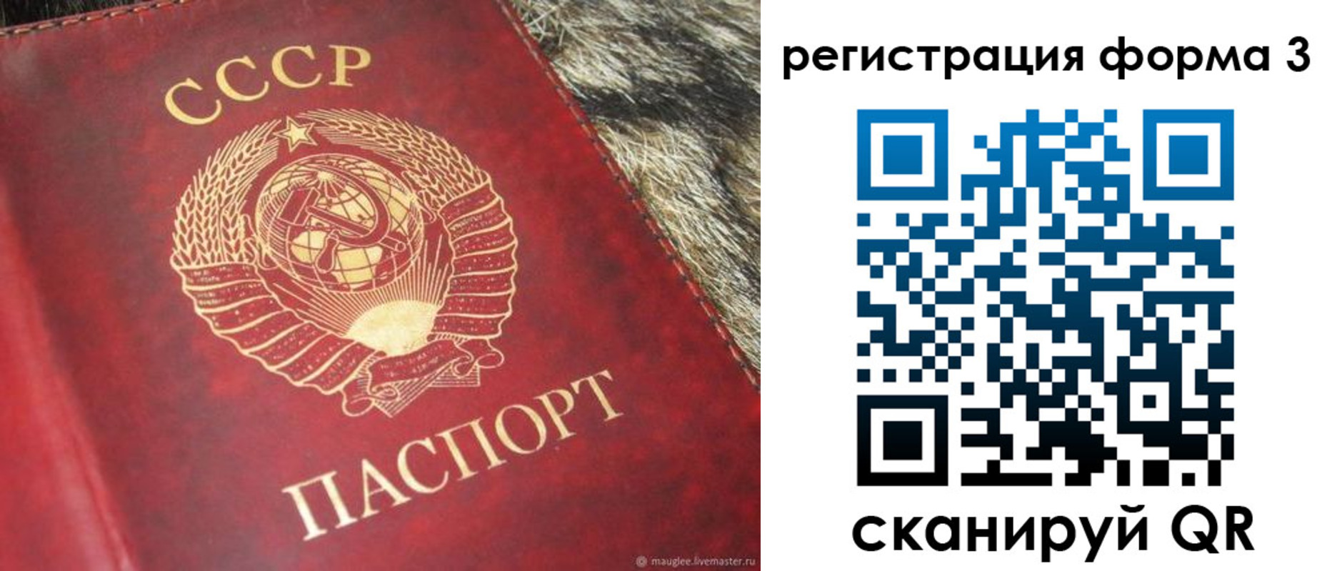 прописка регистрация в Гаджиево